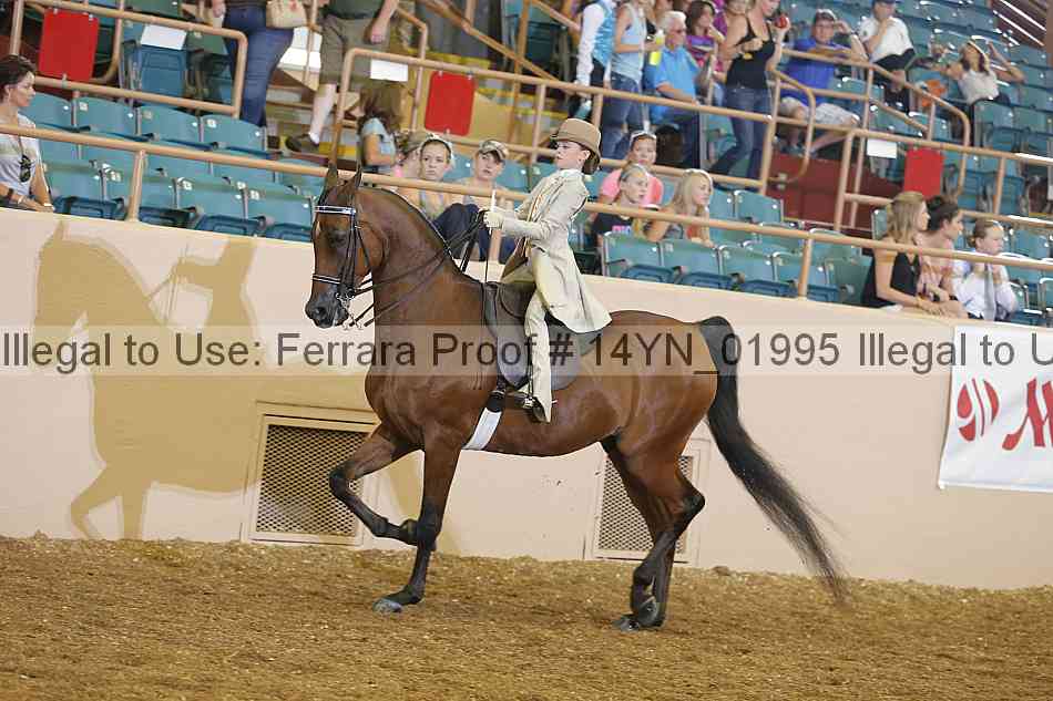 Proof 14yn_01995