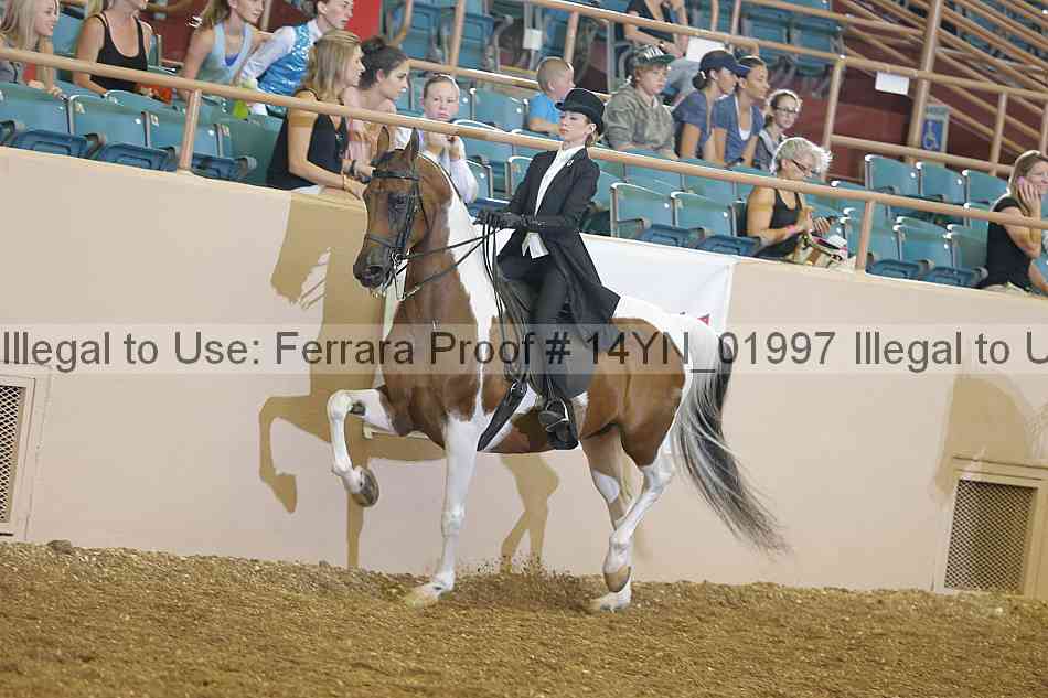 Proof 14yn_01997