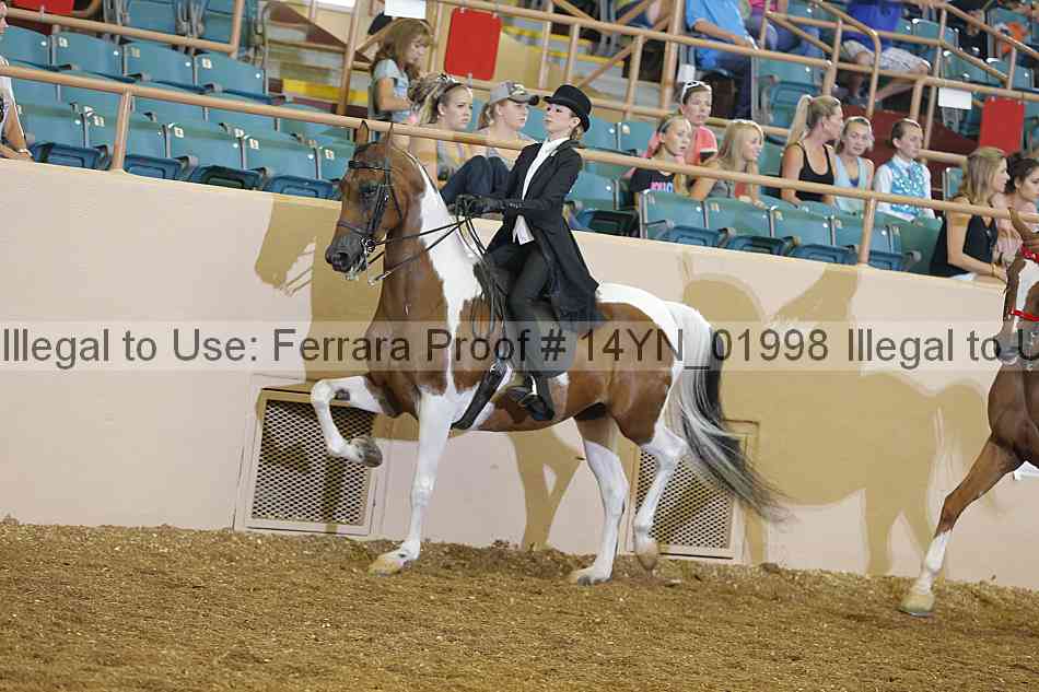 Proof 14yn_01998