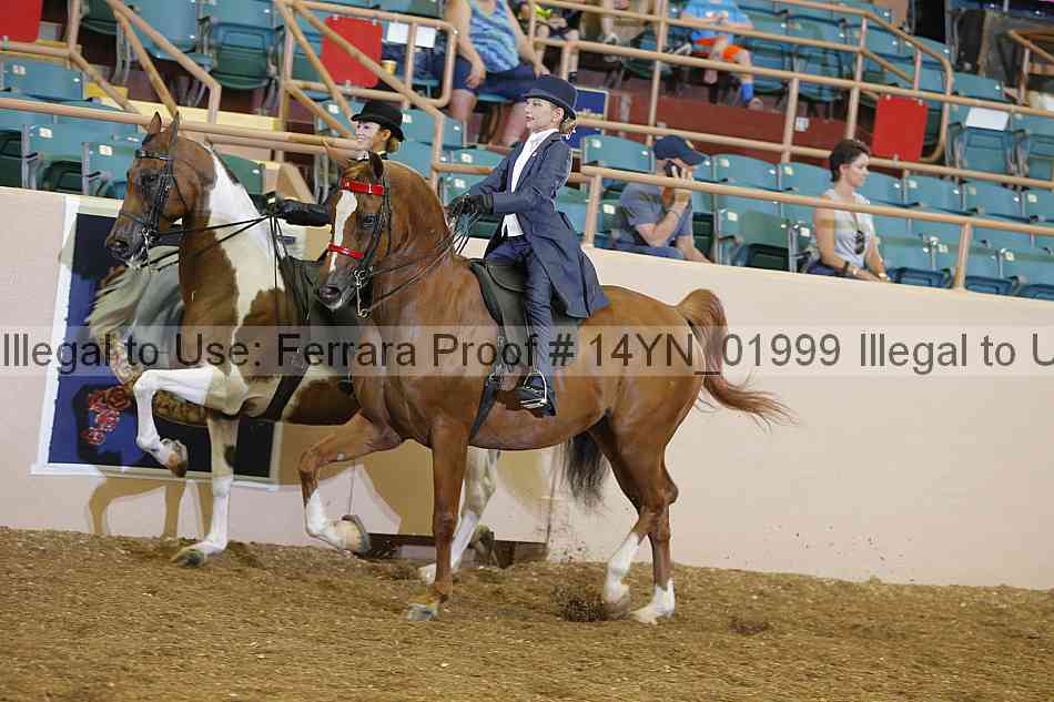 Proof 14yn_01999