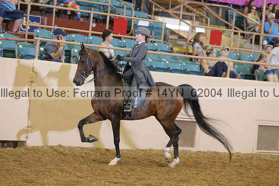 Proof 14yn_02004