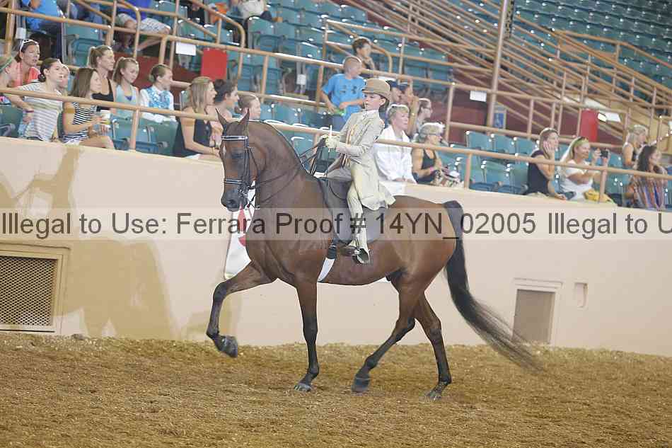 Proof 14yn_02005