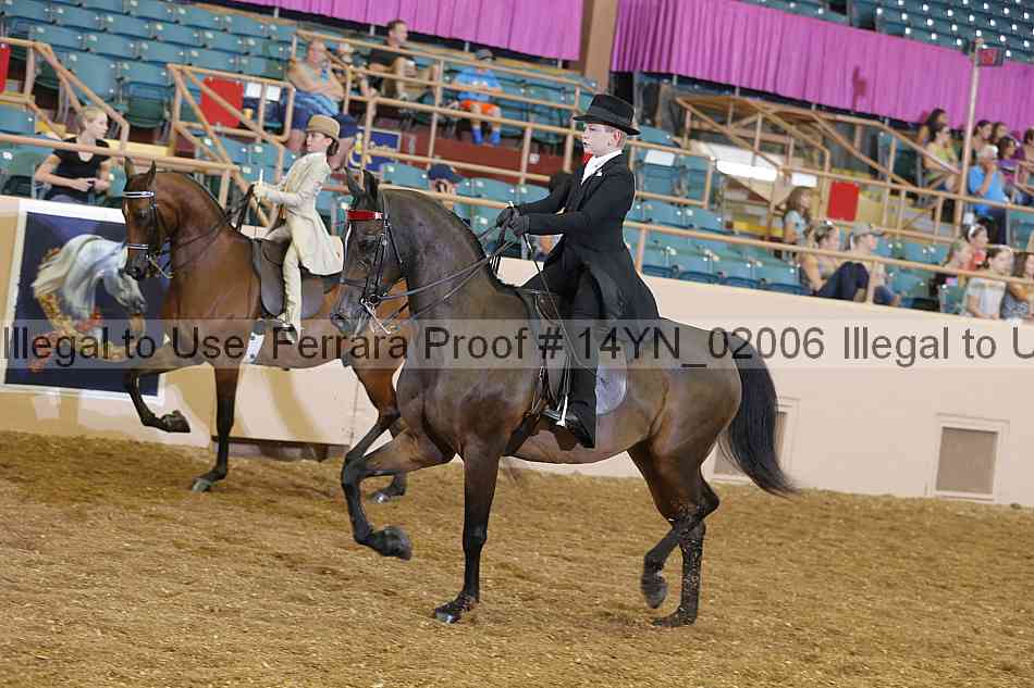 Proof 14yn_02006