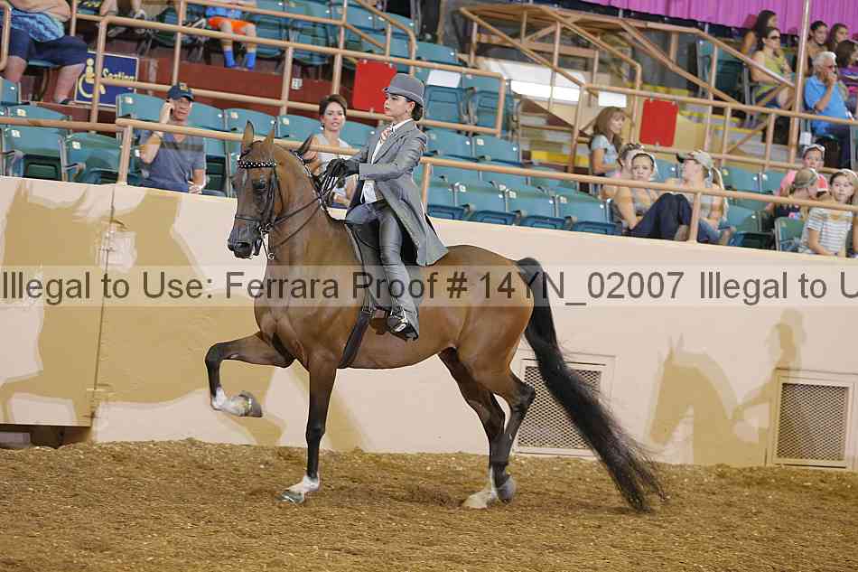 Proof 14yn_02007