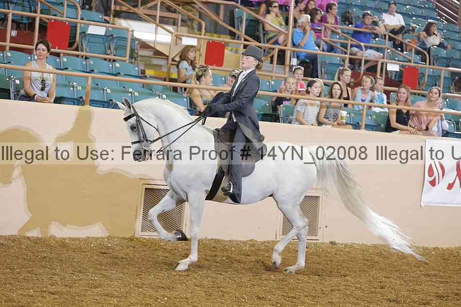 Proof 14yn_02008