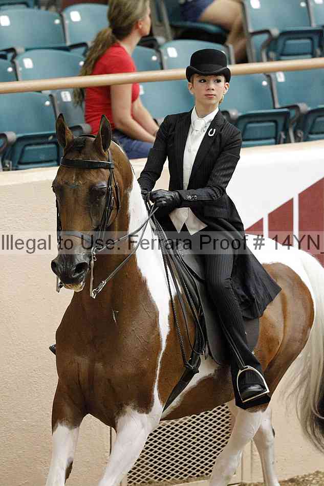 Proof 14yn_02010