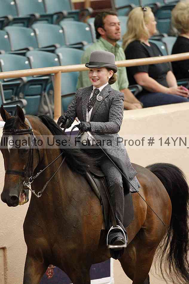 Proof 14yn_02012