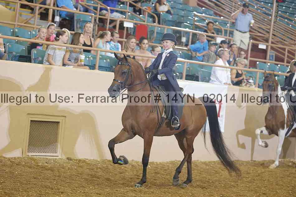 Proof 14yn_02014