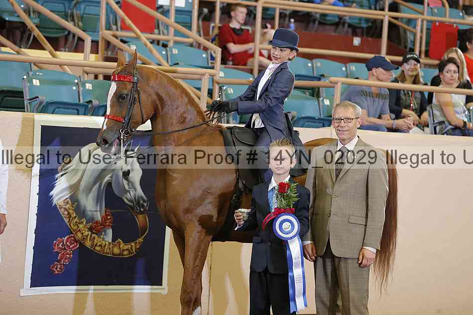 Proof 14yn_02029
