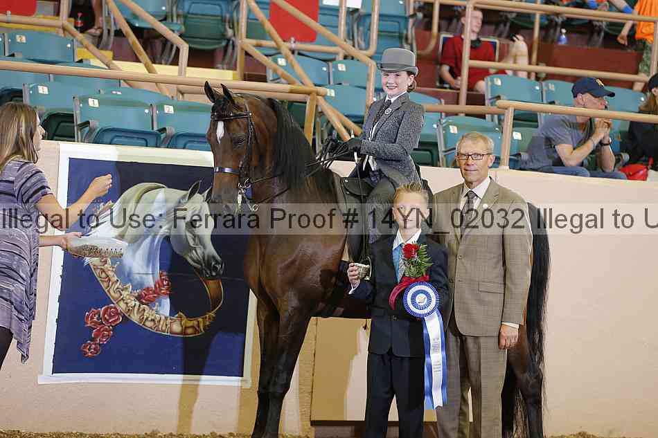 Proof 14yn_02032