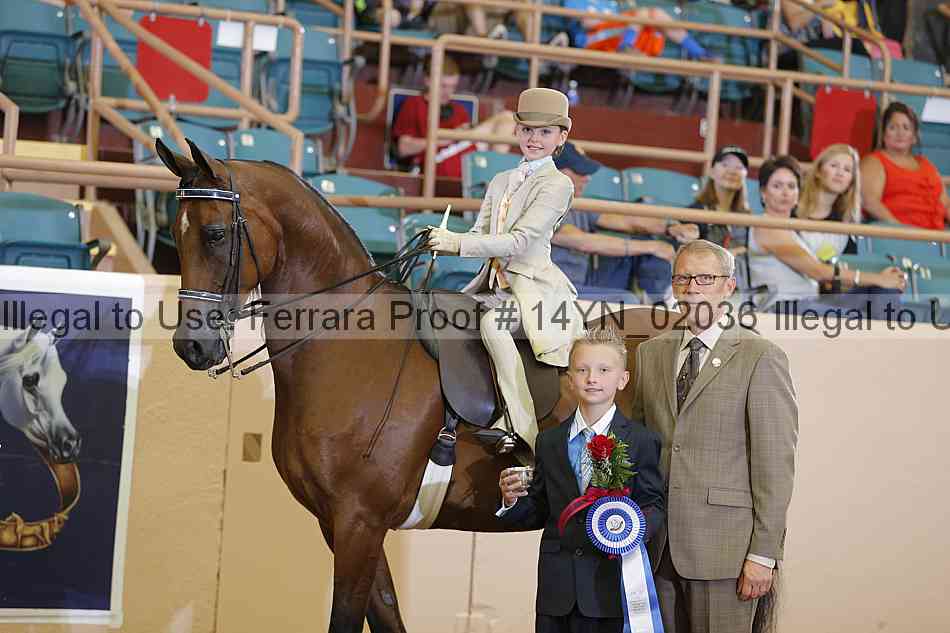 Proof 14yn_02036