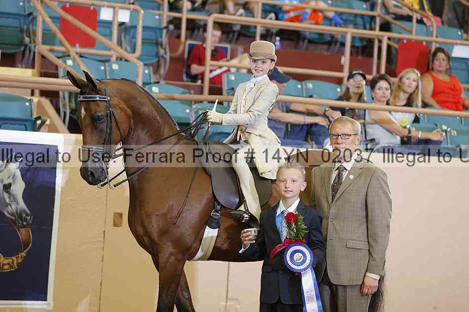Proof 14yn_02037
