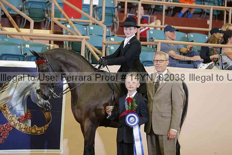 Proof 14yn_02038