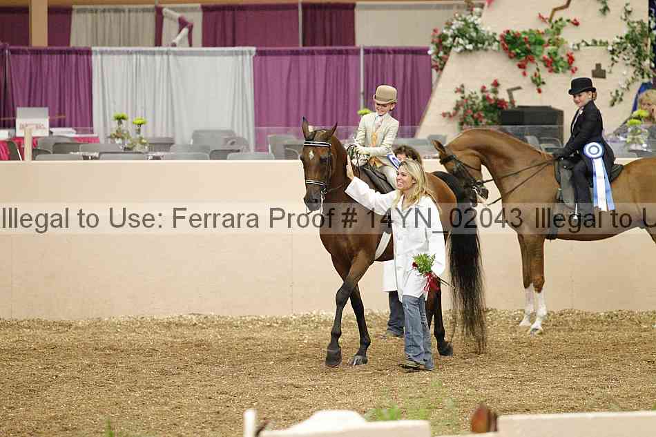 Proof 14yn_02043