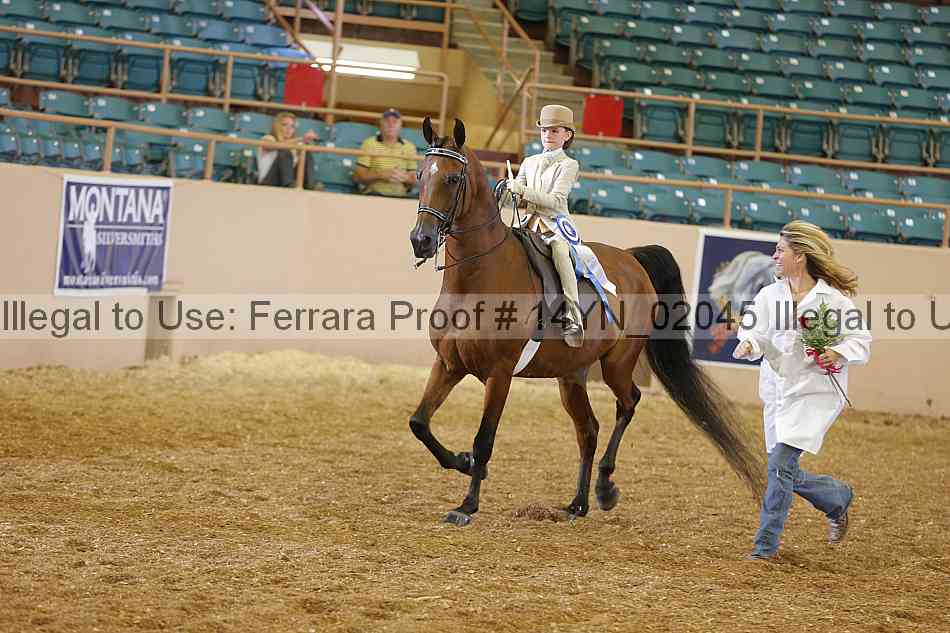 Proof 14yn_02045