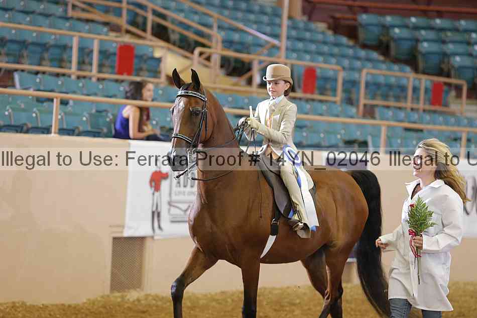 Proof 14yn_02046