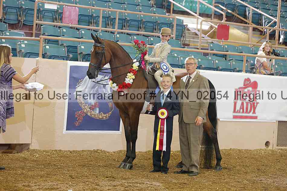 Proof 14yn_02054