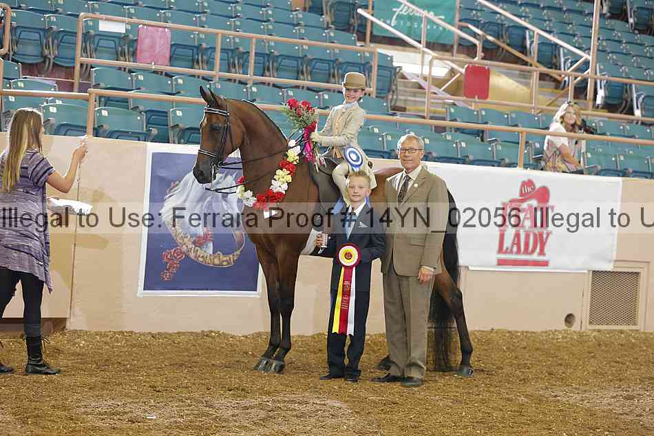 Proof 14yn_02056