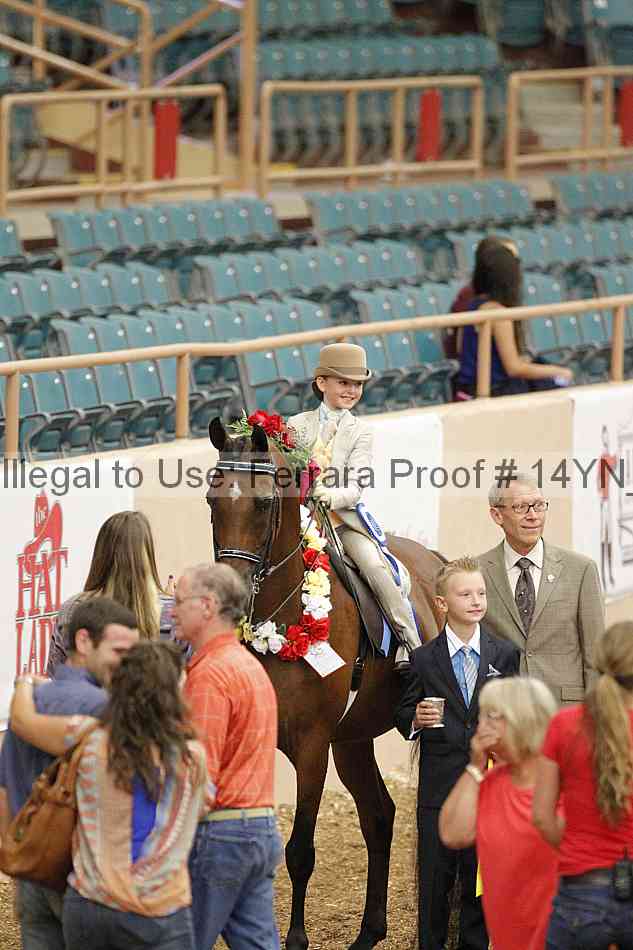 Proof 14yn_02057