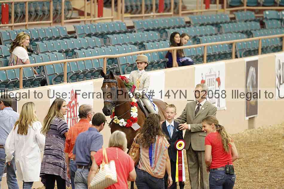 Proof 14yn_02058
