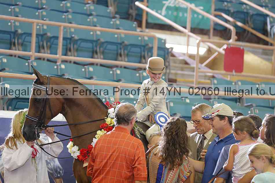 Proof 14yn_02060