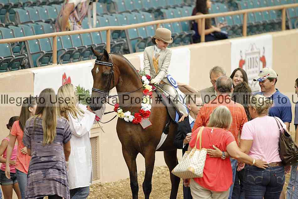 Proof 14yn_02061