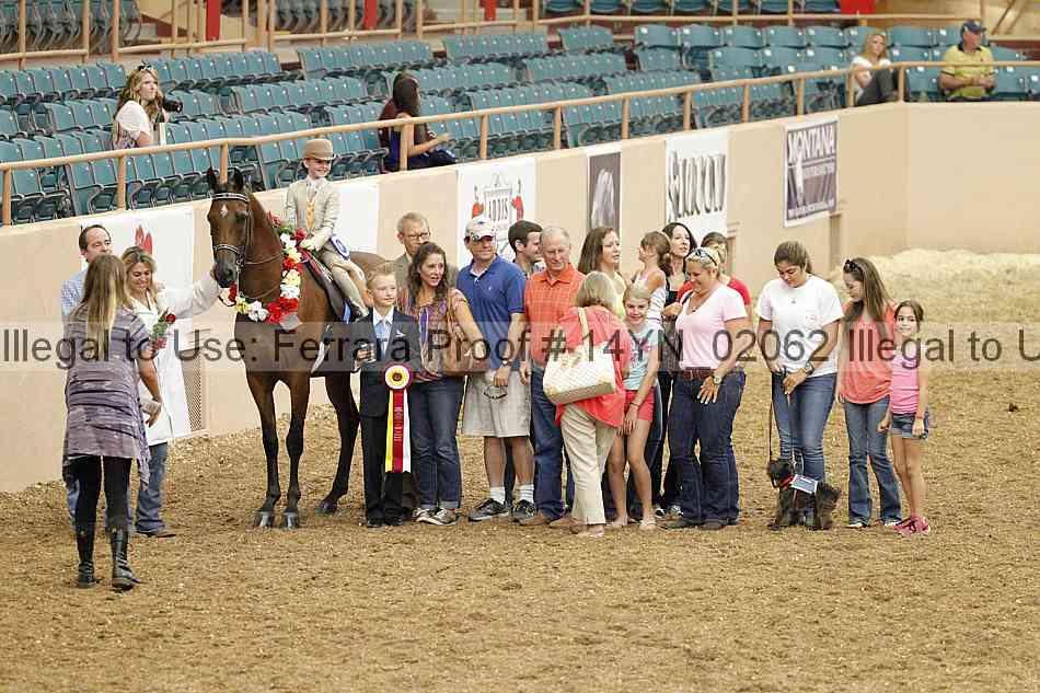 Proof 14yn_02062