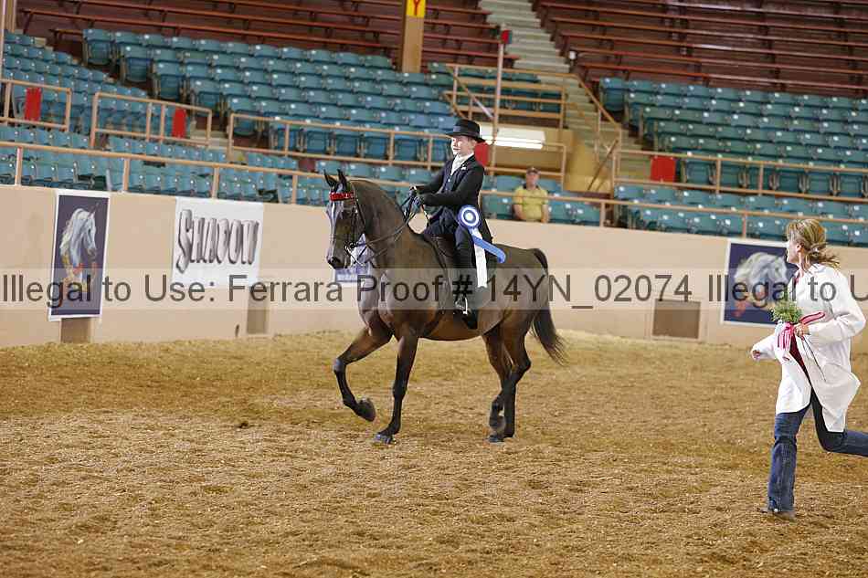Proof 14yn_02074
