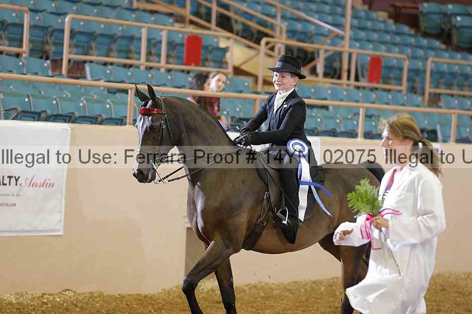 Proof 14yn_02075