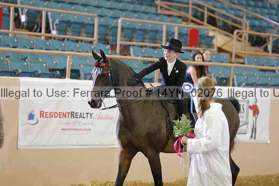 Proof 14yn_02076