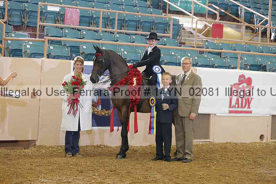 Proof 14yn_02081