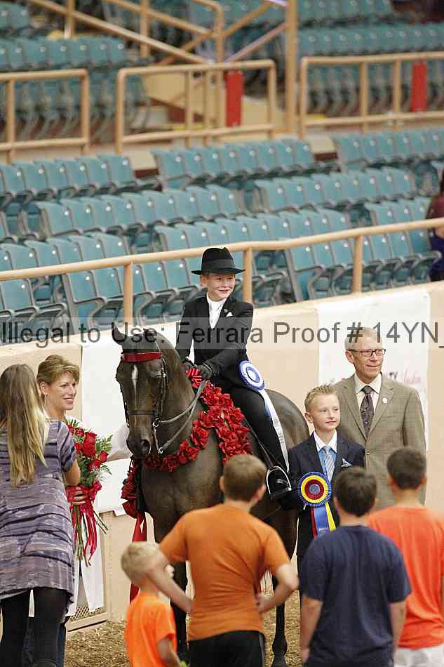 Proof 14yn_02082