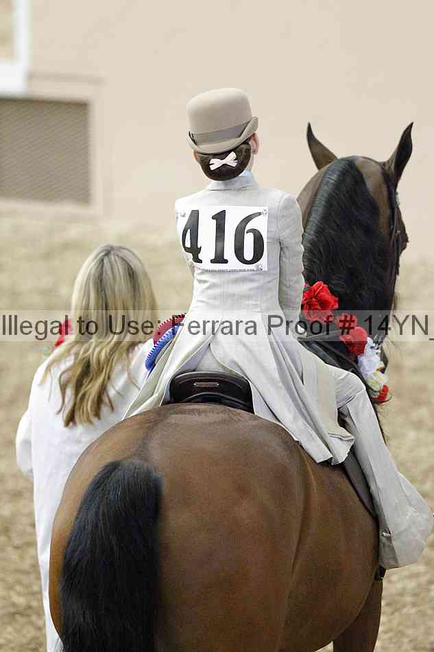 Proof 14yn_02086