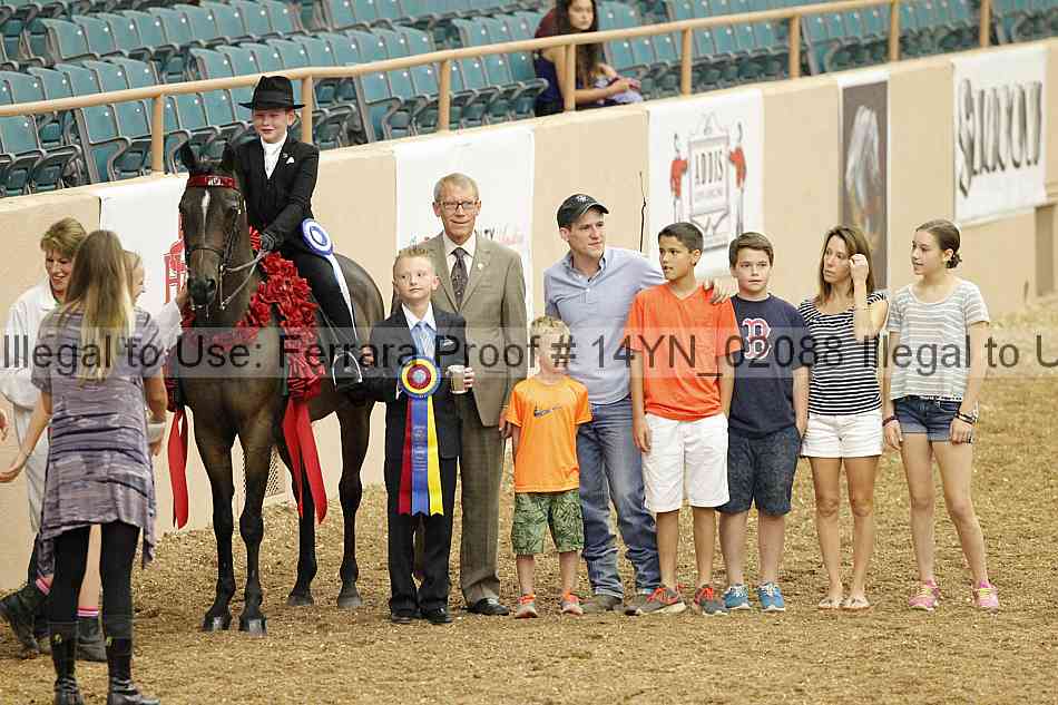 Proof 14yn_02088