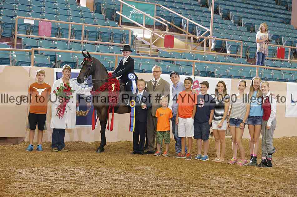 Proof 14yn_02090
