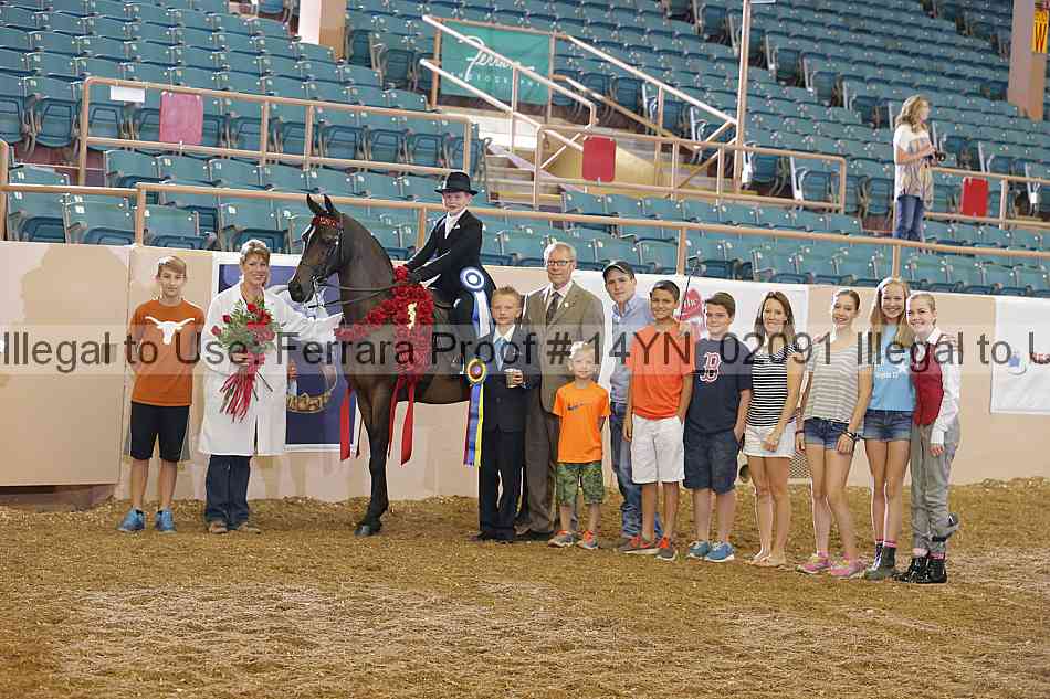 Proof 14yn_02091