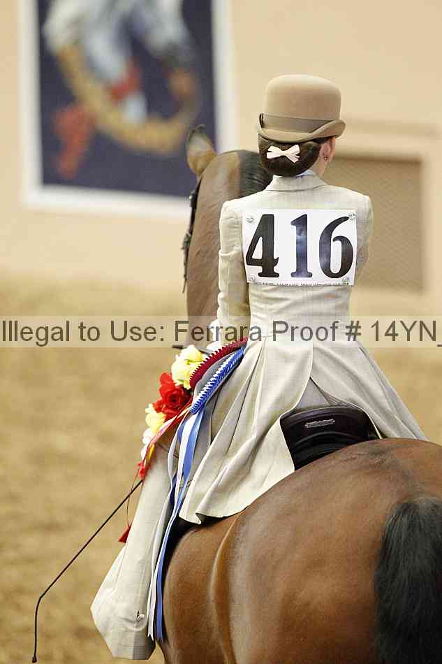 Proof 14yn_02093
