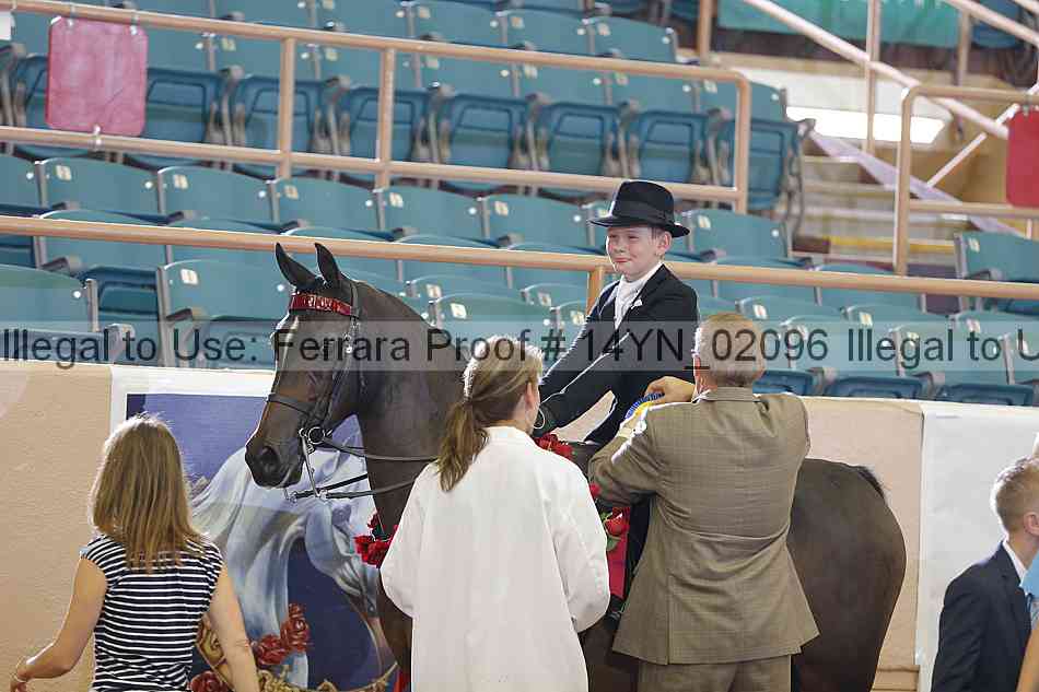 Proof 14yn_02096
