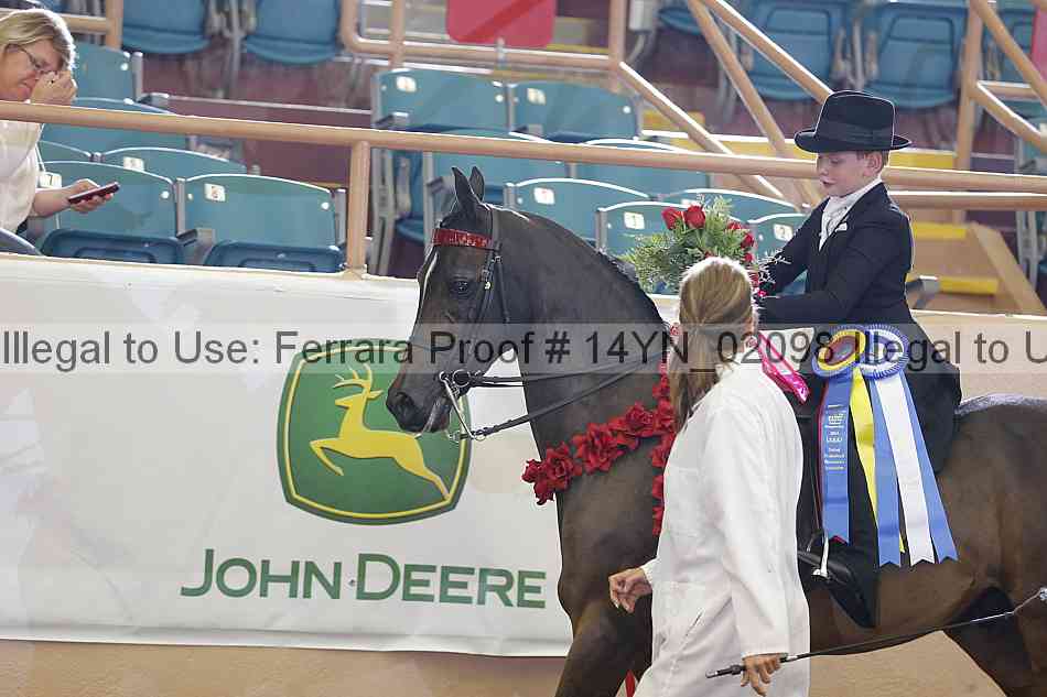 Proof 14yn_02098