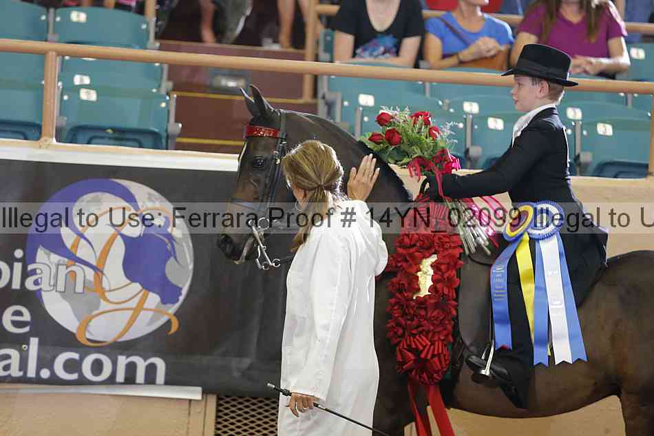 Proof 14yn_02099