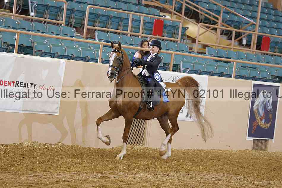 Proof 14yn_02101