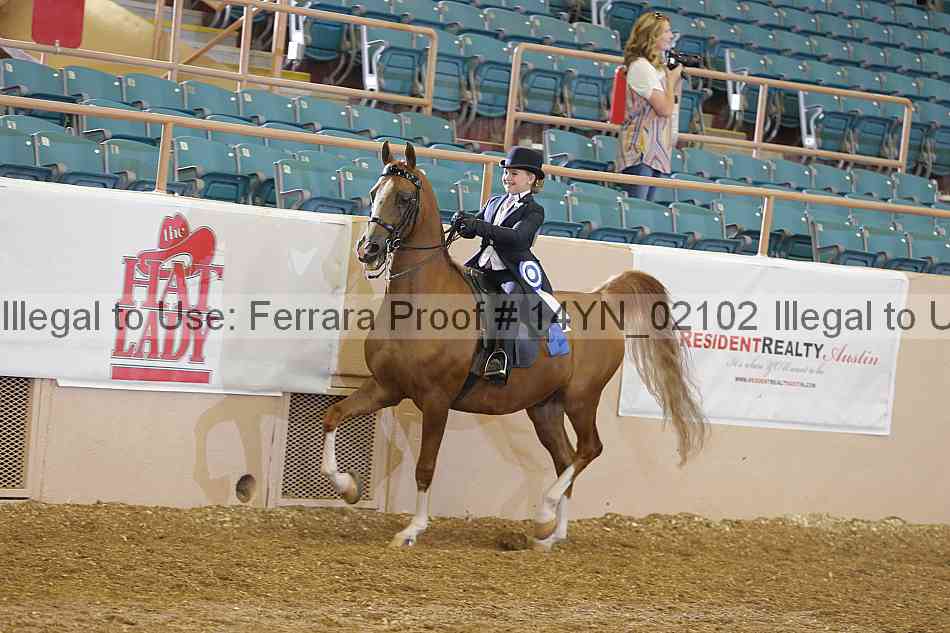 Proof 14yn_02102