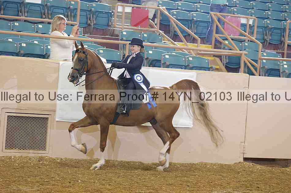 Proof 14yn_02103
