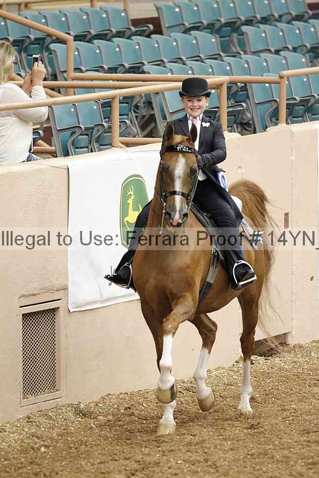 Proof 14yn_02104