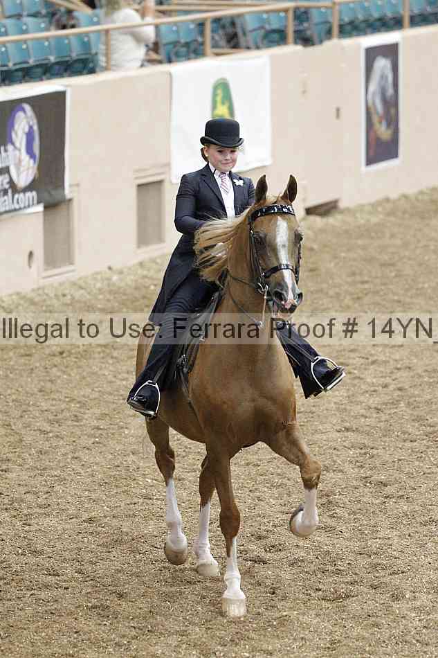 Proof 14yn_02105