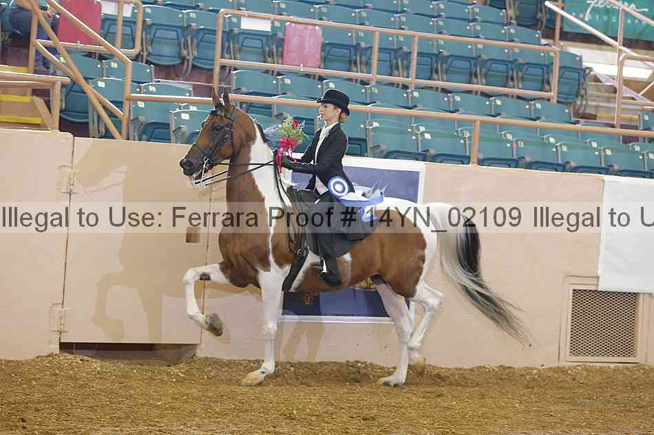 Proof 14yn_02109