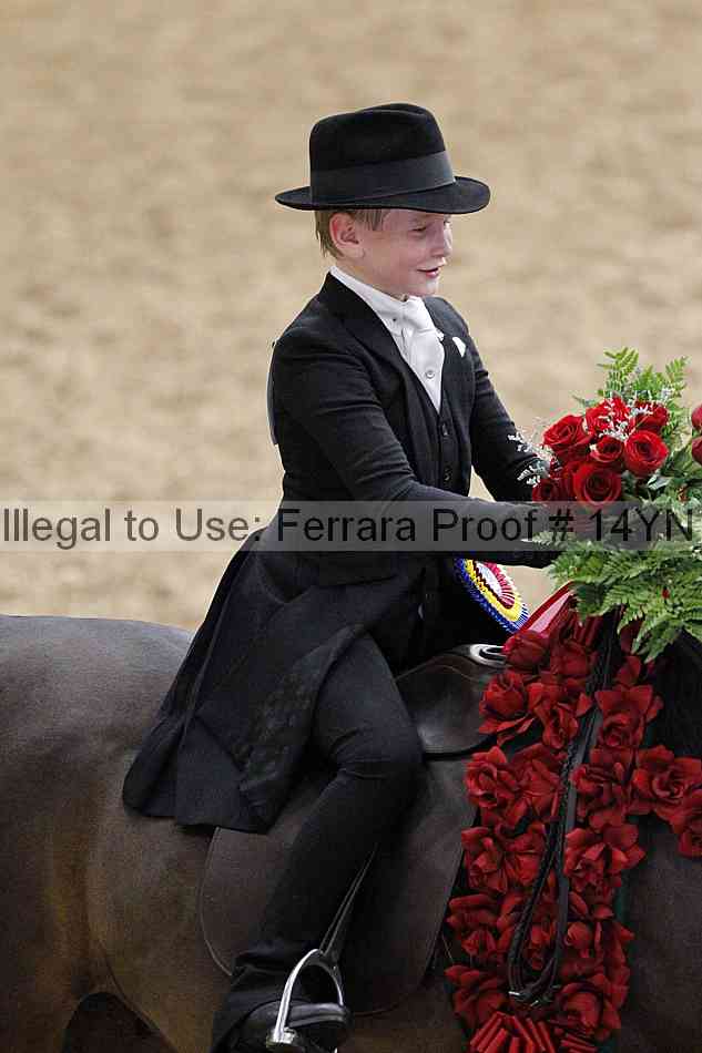 Proof 14yn_02111