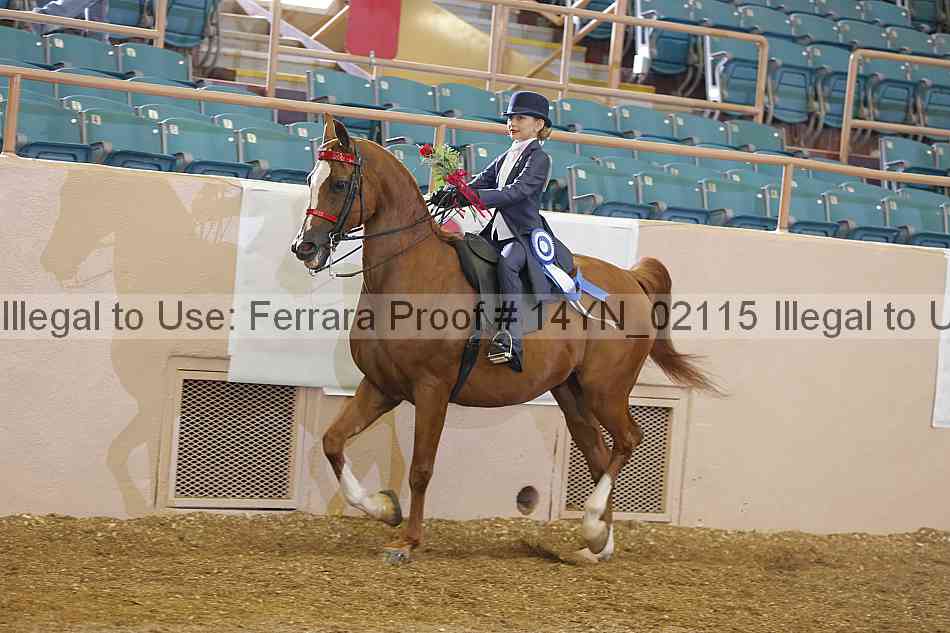 Proof 14yn_02115