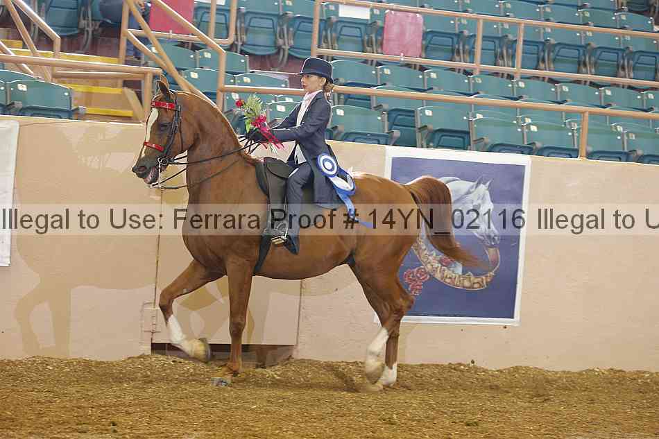 Proof 14yn_02116