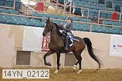 14yn_02122 proof